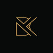 the logo of BK letters with line art. design combination of 2 letters into one logo that is unique and simple. gold texture. isolated black. modern template. for company and graphic design