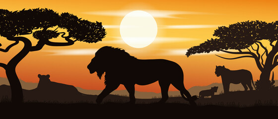 Colorful vector. A family of lions. Safari.