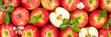 Apples Fruits Red Apple Fruit With Leaves From Above Panorama