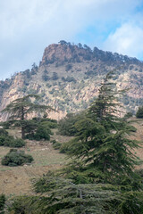 Wall Mural - Belezma National park in the Aures region in Batna, Algeria