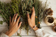  bunch of dried medicinal herbs in women's hands,  collection of medicinal herbs, white wooden table