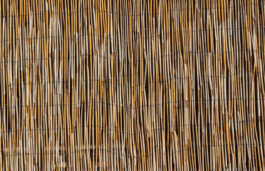  Reed mat texture background outdoor in the sun