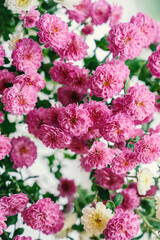 Wall Mural - Beautiful bouquet of flowers. Shallow depth of field.