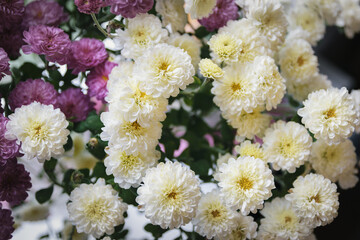 Wall Mural - Beautiful bouquet of flowers. Shallow depth of field.