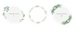 © walrus_d - Collection of pretty and gentle Christmas decorations - round wreath and bouquets with circle templates. Modern flat illustration - leaves, flowers, pine branches, mistletoe sprig with berries. Vector