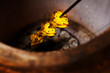 © Foodlovers - Fish skewer in Tandoori oven