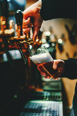 bartender hand at beer tap pouring a draught beer in glass serving in a bar or pub