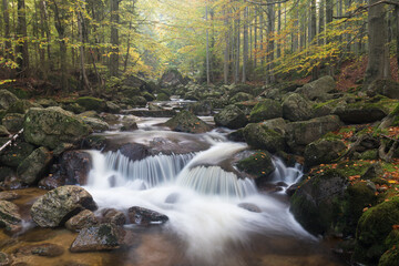 Wall Mural - Autumn fall mountain waterfall stream in the rocks with colorful fallen dry leaves, landscape, natural seasonal background