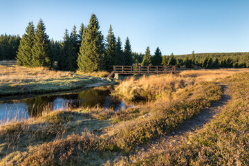 Wall Mural - Small mountain creek in the middle of green meadows and spruce forest, Jizera Mountains, Czech Republic
Mountain village Jizerka in Jizera Mountains in Northern Bohemia. Summer