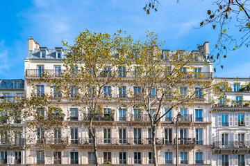 Canvas Print - Paris, beautiful buildings