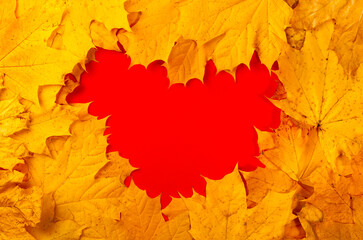 Wall Mural - Autumn red heart. Autumn yellow leaves form a heart, negative space, copy space.