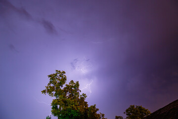 Wall Mural - autumn tree under the lightning sky
