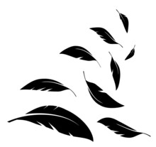 Flock Of Black Feathers Falling Isolated On White Background. Vector