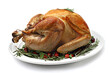 Roasted turkey isolated on white, shallow focus