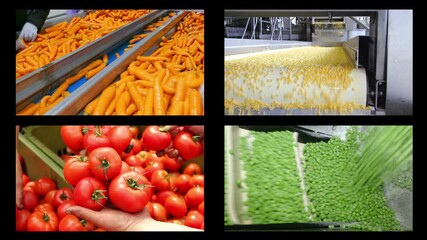 Wall Mural - Vegetables in food processing plant, multi screen. People working, sorting tomatoes, peas, carrots, cucumbers, green beans, onions and corn on a conveyor belt in food factory. Montage in collage