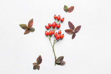 Composition With Fresh Rose Hip Berries And Leaves On White Background