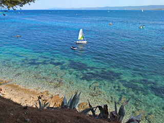 windsurfer on the sea