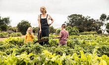 Young Mother Standing In A Vegetable Garden With Her Children