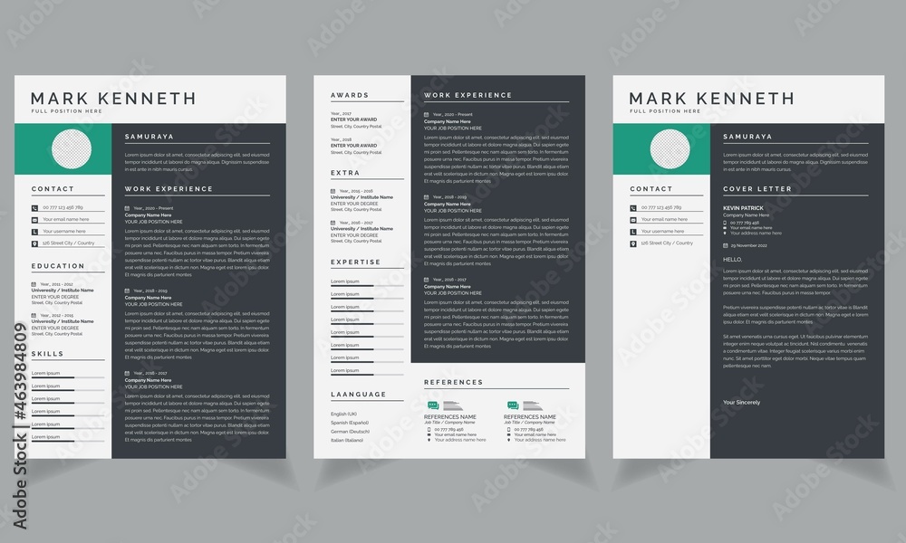 Professional CV resume template Vector Design for job applications ...