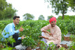 © PRASANNAPIX - Young indian agronomist standing with farmer at green chilly field