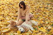 © snedorez - Beautiful girl with two golden retrievers in park