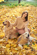 © snedorez - Beautiful girl with two golden retrievers in park