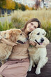 © snedorez - beautiful girl hugs two golden retrievers. Outdoor