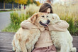 © snedorez - beautiful girl hugs two golden retrievers. Outdoor