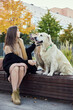 © snedorez - beautiful girl hugs two golden retrievers. Outdoor