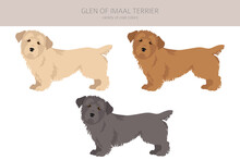 Glen Of Imaal Terrier Clipart. Different Poses, Coat Colors Set