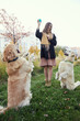© snedorez - Girl trains two golden retrievers in the park on green grass