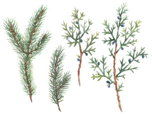 Beautiful floral christmas set with hand drawn watercolor winter fir tree branches. Stock 2022 winter illustration.