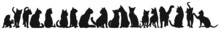 Front View Of Cats And Kitten Group Walking Or Sitting Vector Silhouette Collection