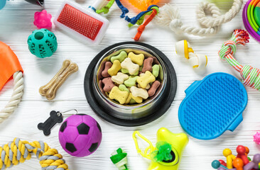 Wall Mural - Different multicolored pet care accessories: bowl, bones, balls, snacks on white wooden background. Rubber and textile toys for dogs. Top view, flat lay. Copy space