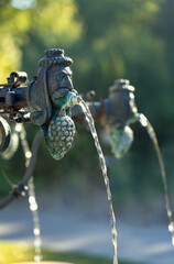 close up old winer man head with grapes founain in Eger szépasszonyvölgy wine region