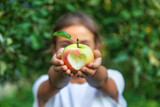 The child eats an apple in the garden. Selective focus.