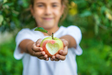 The Child Eats An Apple In The Garden. Selective Focus.
