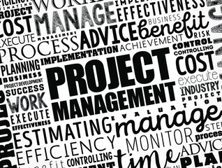 Wall Mural - Project Management word cloud collage, business concept background