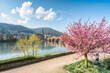 © JCB - Heidelberg in spring with view of the Old Bridge and Neckar River