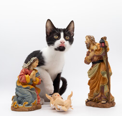 Small black and white cat playing with the figures of the Portal de Belén. Figures of the birth of Christ. Christmas decoration