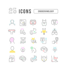 Wall Mural - endocrinology. collection of perfectly thin icons for web design, app, and the most modern projects.