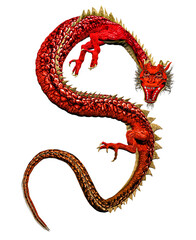 oriental red dragon isolated on  white background