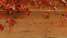 Natural Wood Surface With Leaf Border.