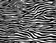 Zebra stripes seamless pattern vector