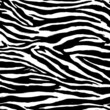 Zebra stripes seamless pattern vector