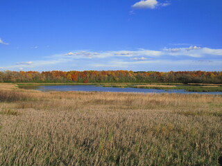 Wall Mural - landscape with a lake