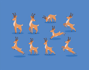 nine nice reindeer