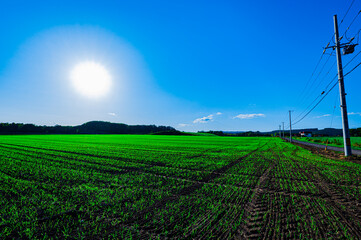 田園