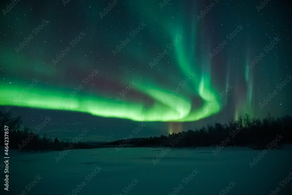 northern lights aurora borealis landscape with forest Stock Photo ...