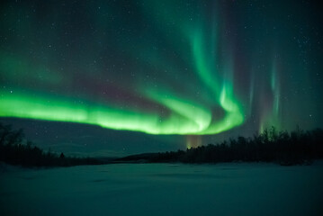 Wall Mural - northern lights aurora borealis landscape with forest